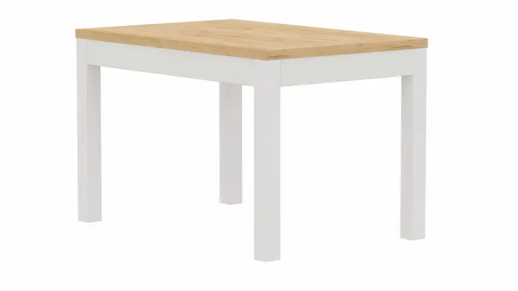 Jídelní stůl OSTOJ II 120×80